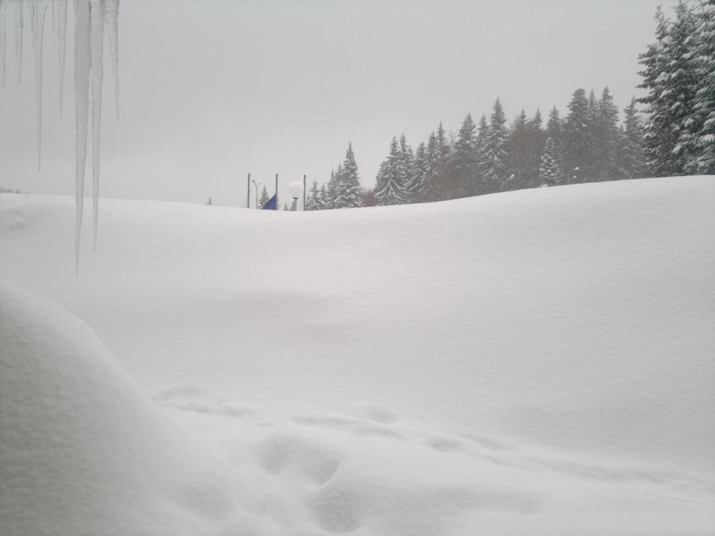 Laplandia Pamporovo